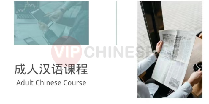 厦门企业外籍人员汉语成人课程,汉语