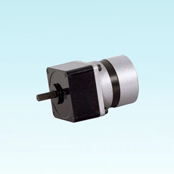60mm Brushless Gear Motor Supplier Dongzheng Motor