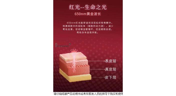 上海性能稳定颈部红光理疗仪代理价格多少 上海预顺生物供应;