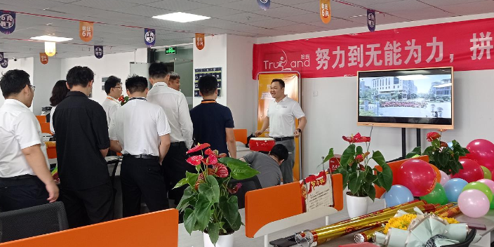 惠州地产官网多少钱 欢迎来电 珍岛集团惠州分公司供应
