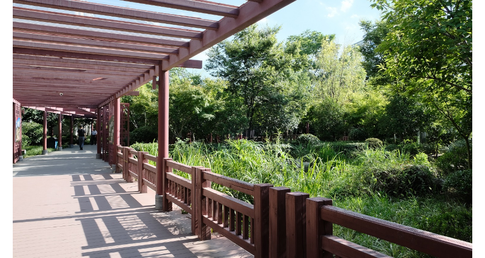 相城區多層次養老模式 江蘇瑞頤養老供應