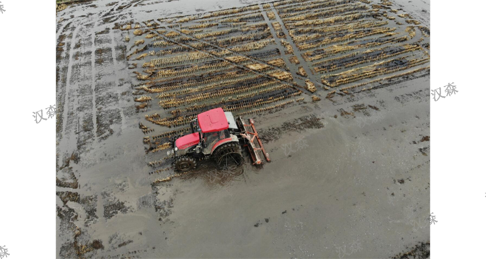 浙江分段打浆机产品介绍