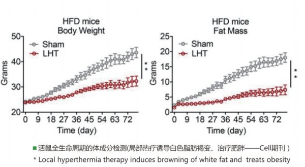 活鼠體脂分析儀Accufat-1050