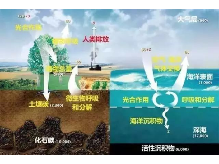 青海生物质发电碳资产开发服务 捷亦碳科技供应