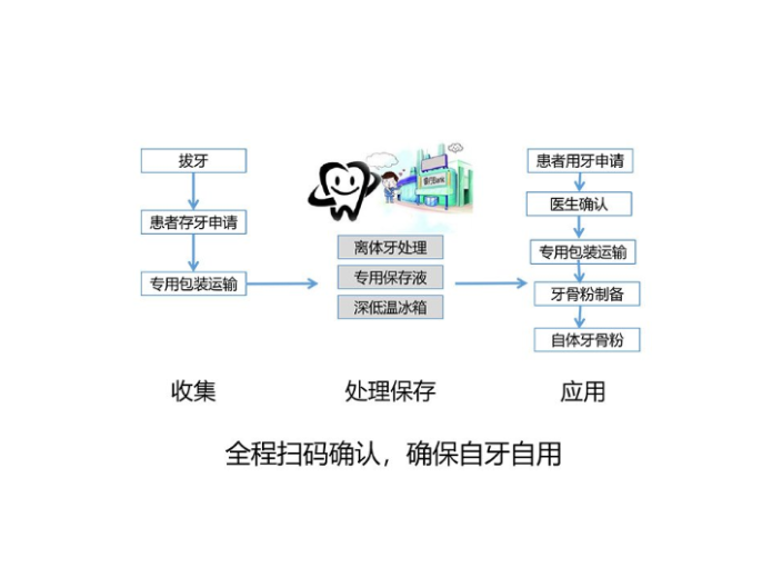 遼寧值得推薦的離體牙保存技術(shù)先進(jìn),離體牙保存