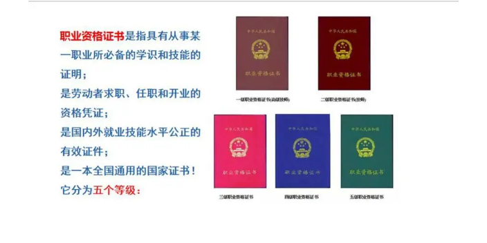 深圳导游资格证书办理机构,资格证书