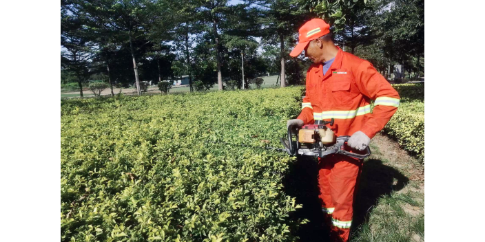 惠州工厂绿化施工费用