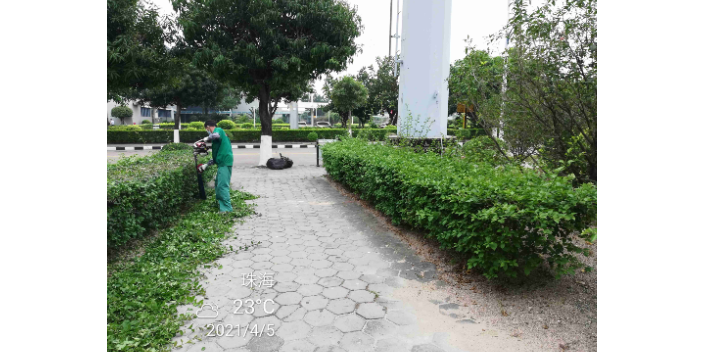 惠州市政道路绿化养护公司