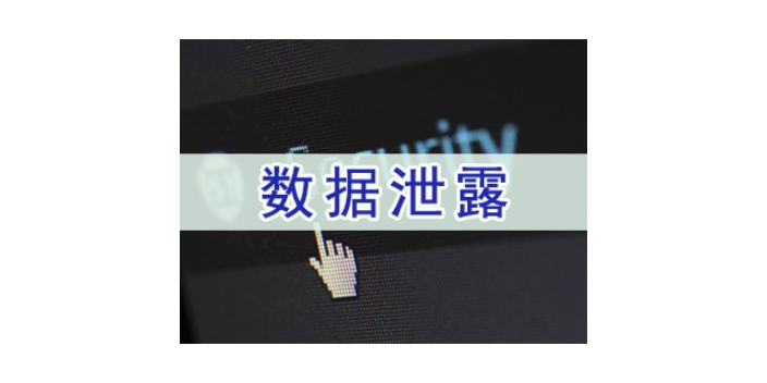 上海关于数据加密 服务为先 上海迅软信息科技供应