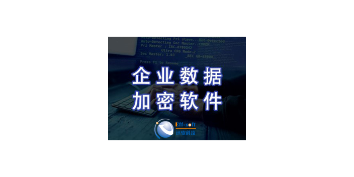 上海数据加密排行榜 欢迎来电 上海迅软信息科技供应