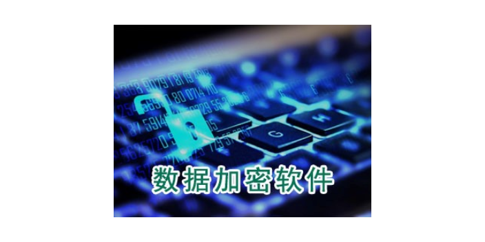 上海电脑数据加密什么价格 服务为先 上海迅软信息科技供应