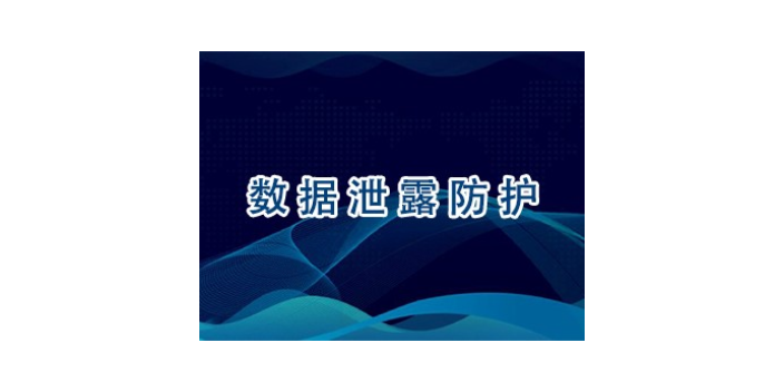 上海上海迅软科技数据加密功能性如何 欢迎来电 上海迅软信息科技供应