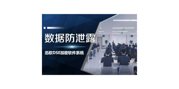 上海迅软DSE数据加密价格 欢迎咨询 上海迅软信息科技供应