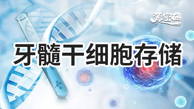 上海哪家干细胞存储大概价格 抱诚守真 郑州源密码生物科技供应