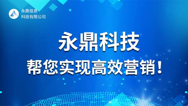 郑州企业线上推广系统 河南永鼎信息科技供应