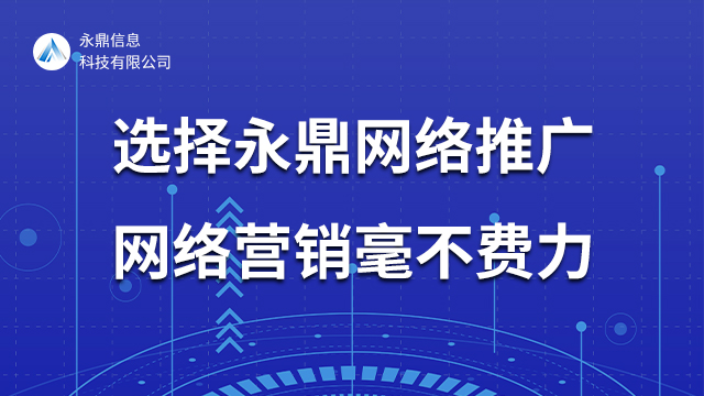 林州网络推广怎么做 河南永鼎信息科技供应