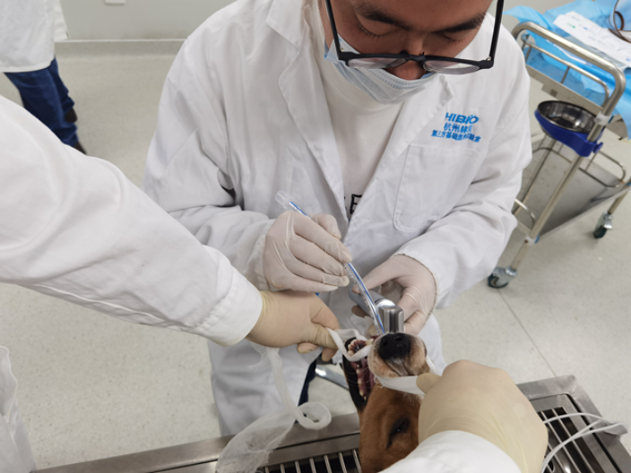 杭州臨床前保健品安全性檢驗服務第三方檢測機構 杭州赫貝科技供應