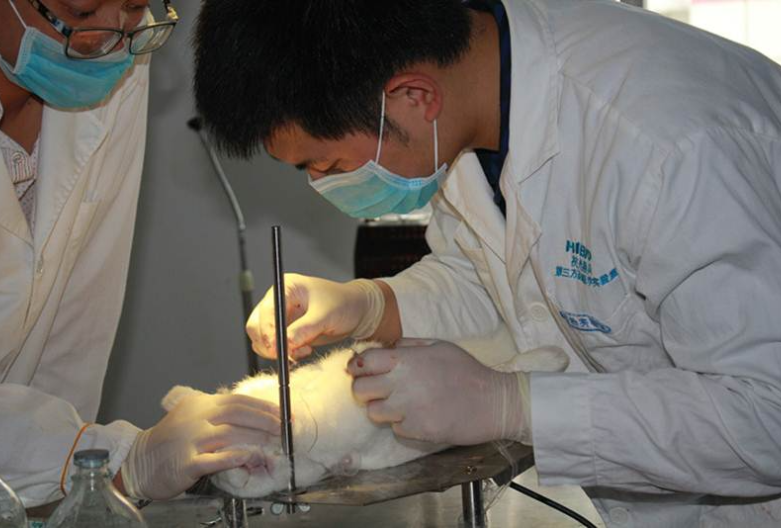 北京临床前体外药代动力学试验服务研究中心