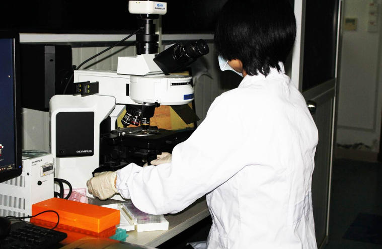 临床前药物长期毒性试验服务外包机构 杭州赫贝科技供应