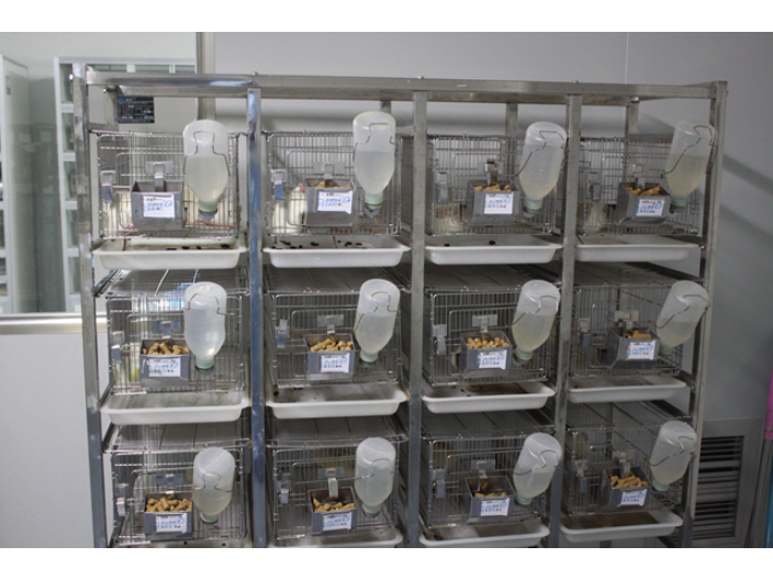 成都SPF级小鼠动物实验服务外包公司 杭州赫贝科技供应;