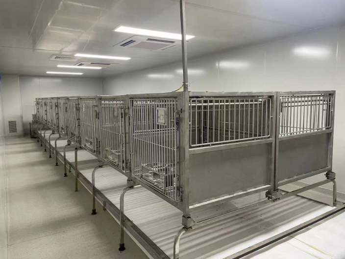 南京SPF级比格犬动物实验服务外包机构