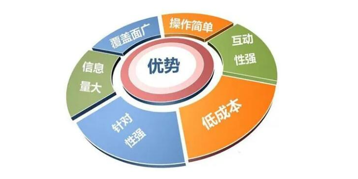 徐州技术网站建设介绍,网站建设