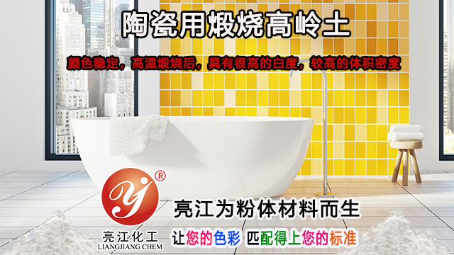 上海球粘土+高岭土有哪些 上海亮江钛白化工制品供应