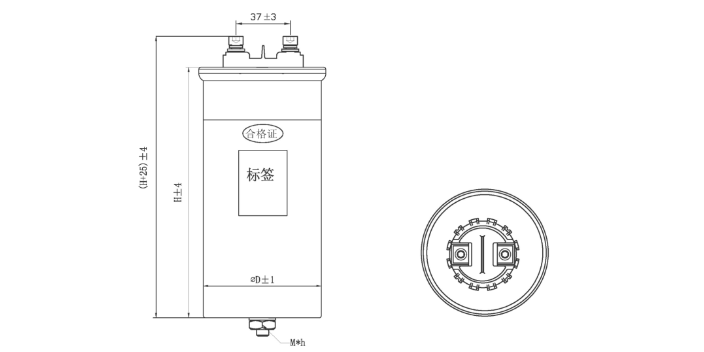 上海双电低压干式自愈电容器厂家报价