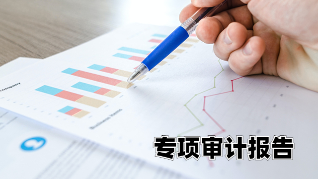 天津收入专项审计代办 中税正洁税务师事务所供应