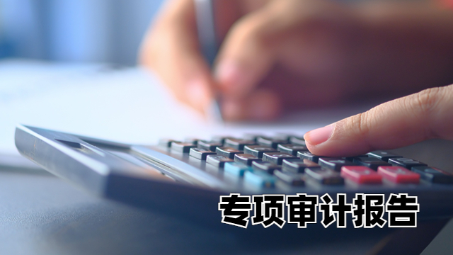 天津清算专项审计一般多少钱 中税正洁税务师事务所供应