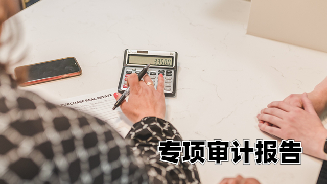 武清区会计师事务所专项审计报告 中税正洁税务师事务所供应
