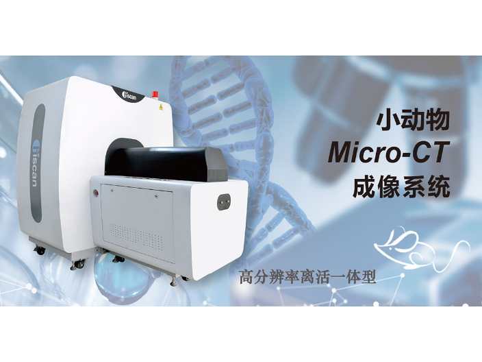 南京小动物骨密度及体成分分析仪生产厂家