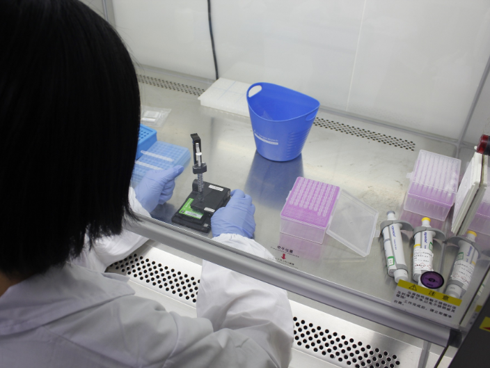 上海市多重PCR高通量测序测序