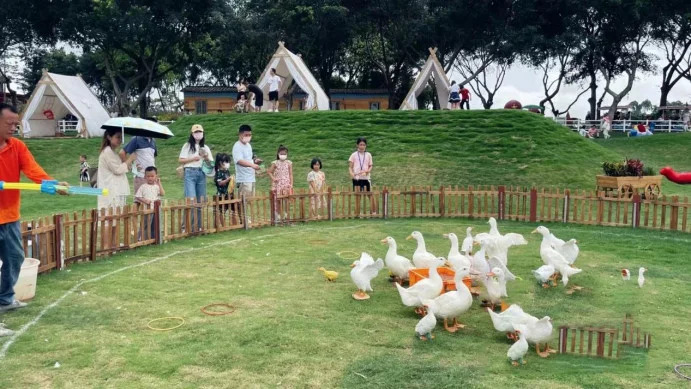 瘋馬牛牧場樂園