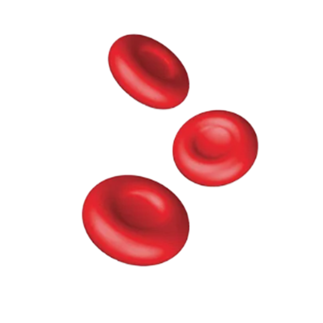 Amino acids necessary for the human body: L-Methionine