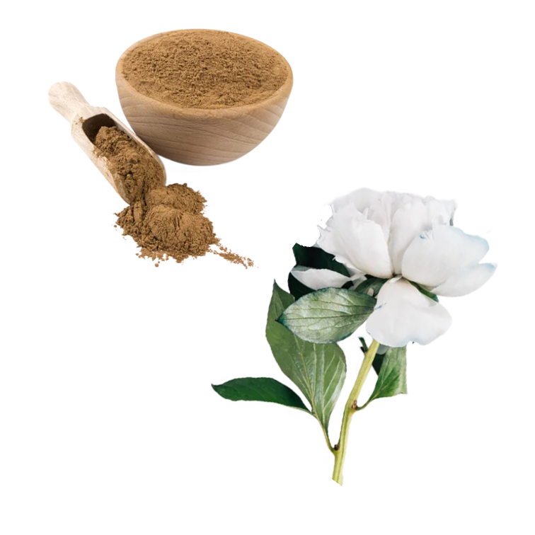 white peony root extract
