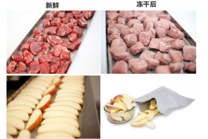 重庆茶叶冻干设备厂 服务为先 临朐易泽环保科技供应