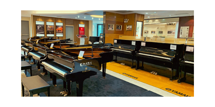 闵行区立式钢琴大的乐器店