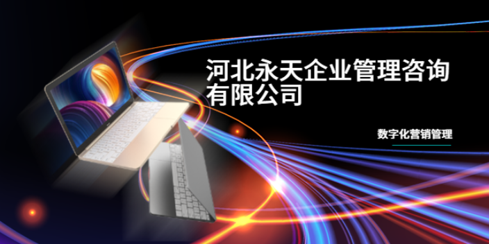 寧晉網站建設值得推薦 歡迎咨詢 河北永天企業管理咨詢供應