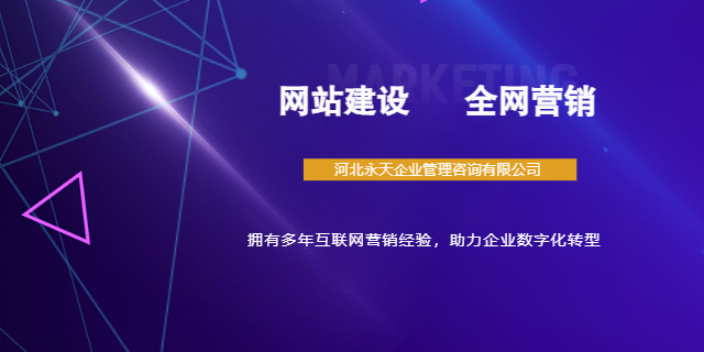 威縣網站建設服務商 來電咨詢 河北永天企業管理咨詢供應