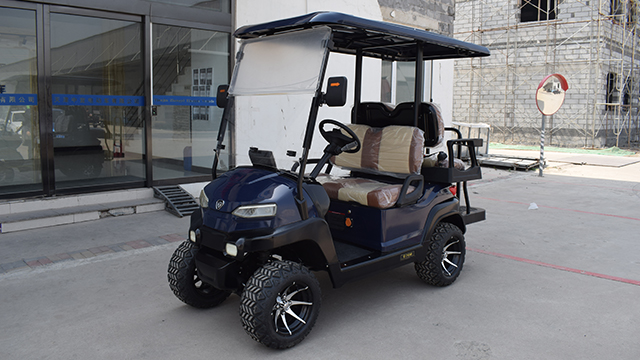 成都高爾夫球車品牌 專菱觀光車 專菱車輛科技供應(yīng)