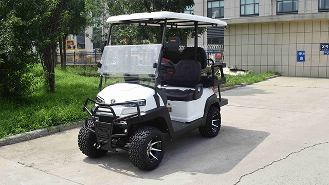 美麗鄉(xiāng)村高爾夫球車價(jià)格 電動(dòng)巡邏車 專菱車輛科技供應(yīng)