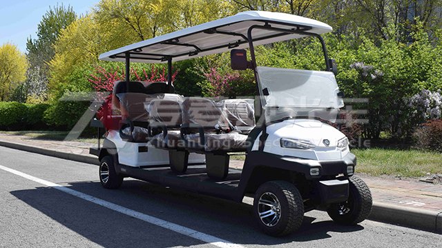 遼寧公園高爾夫球車,高爾夫球車