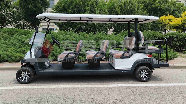 温州四轮电动高尔夫球车