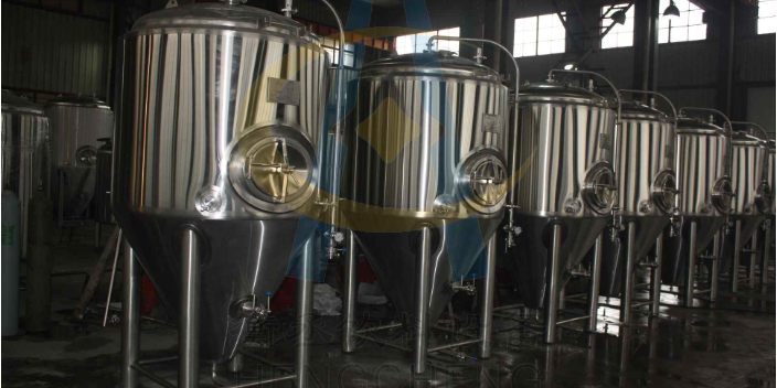 温州多功能精酿啤酒设备供应商