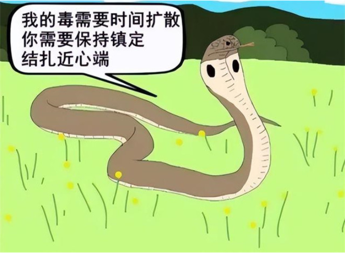 肇庆小区防蛇驱蛇