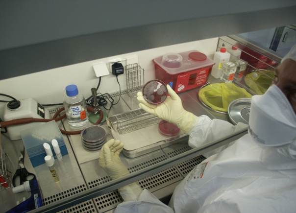 大學研究實驗室及科研機構