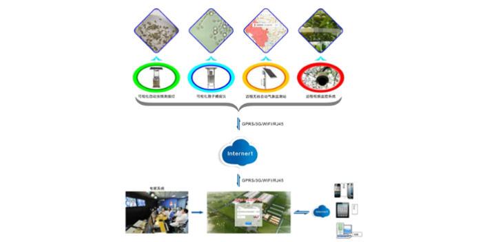 互联网 草坪管养工作措施 客户至上 江苏久智环境科技服务供应;