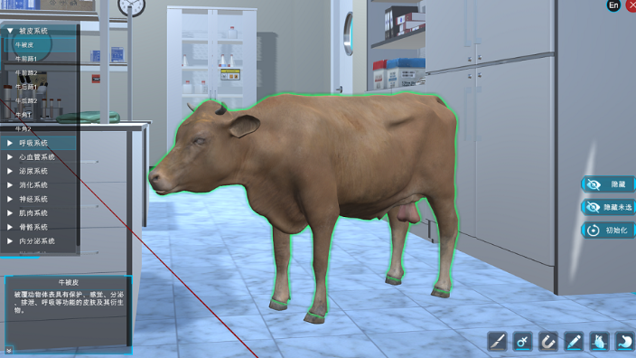 犬解剖虚拟仿真实训系统操作教程,畜牧业教学软件