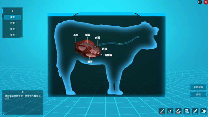 动物解剖虚拟教学系统研发,畜牧业教学软件